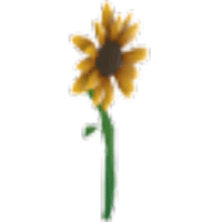 Sunflower Rattle  - Common from Spring Festival 2020